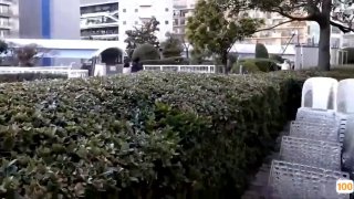 欧美小说免费看_欧美亚洲精品成人视频